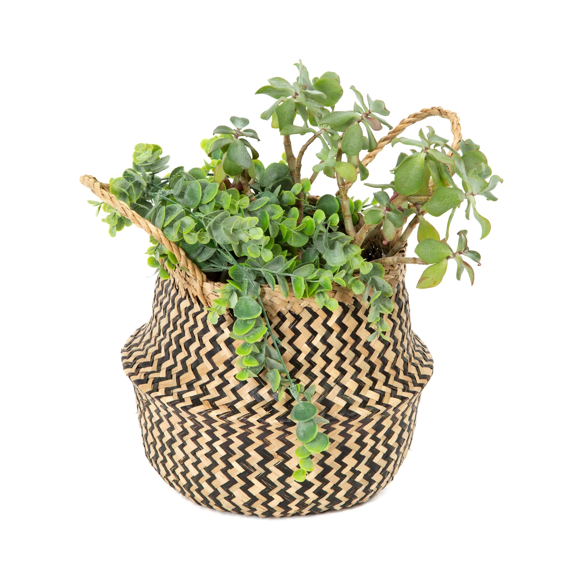Image du produit 16